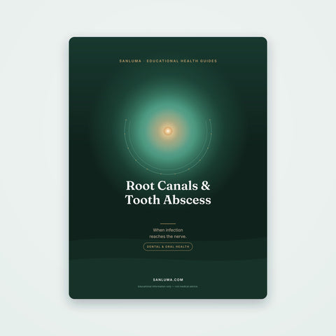 Root Canals & Tooth Abscess Explained