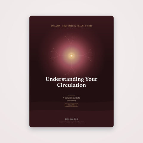 Understanding Your Circulation — A Complete Guide