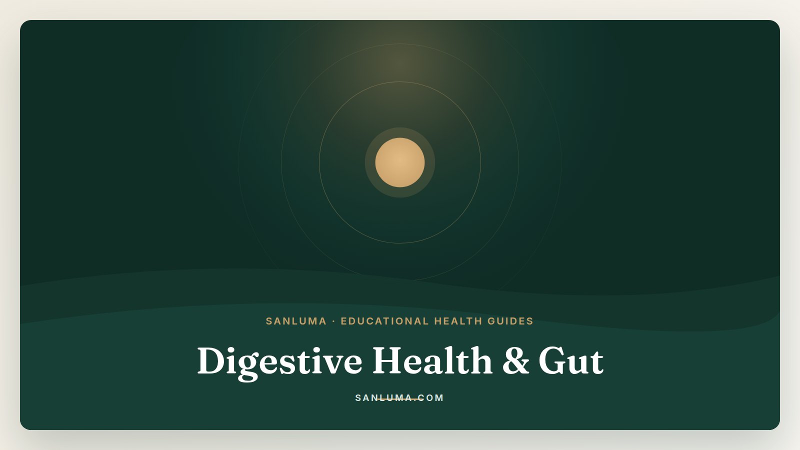Digestive Health & Gut educational health guides — SanLuma collection banner