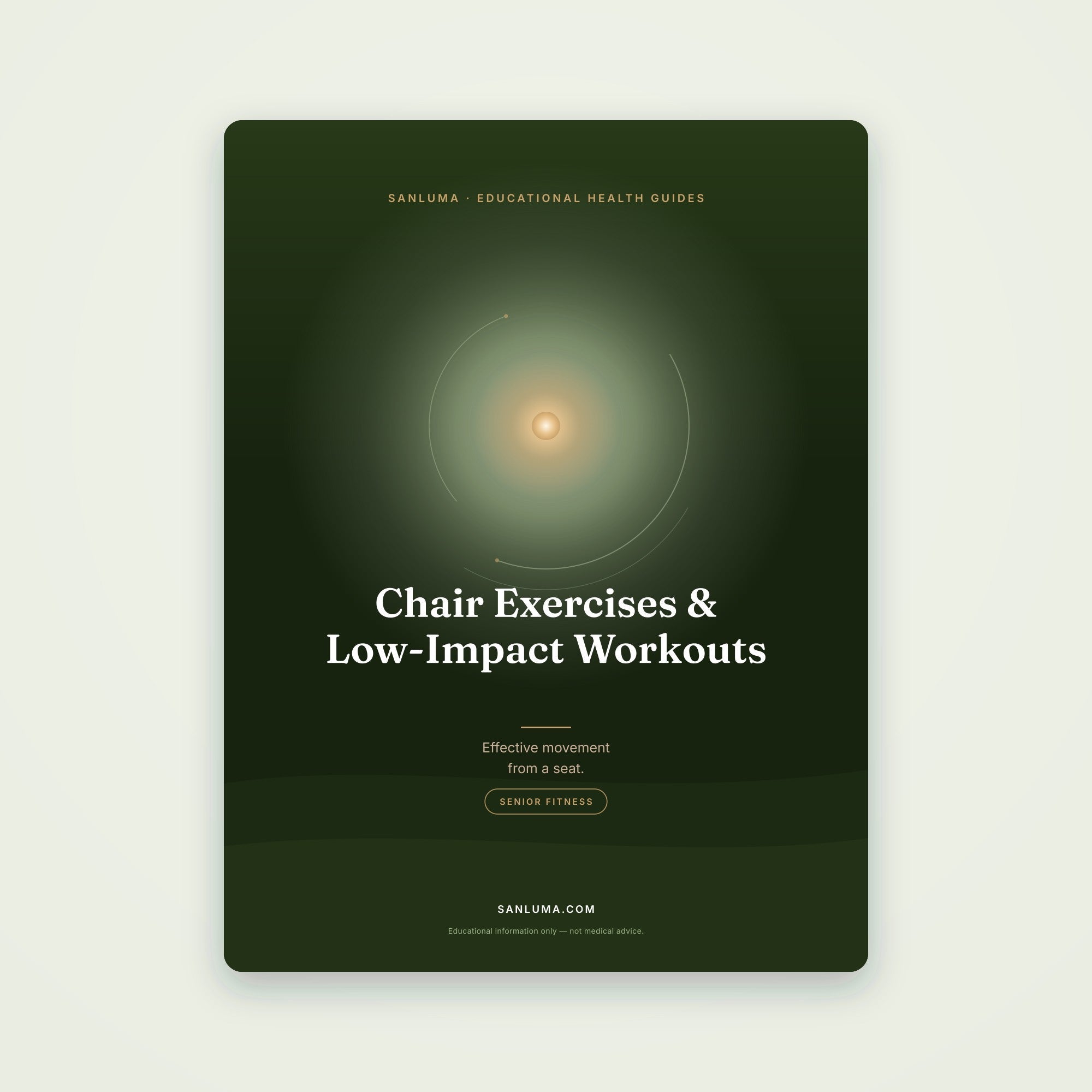 Chair Exercises & Low-Impact Workouts | SanLuma health guide cover