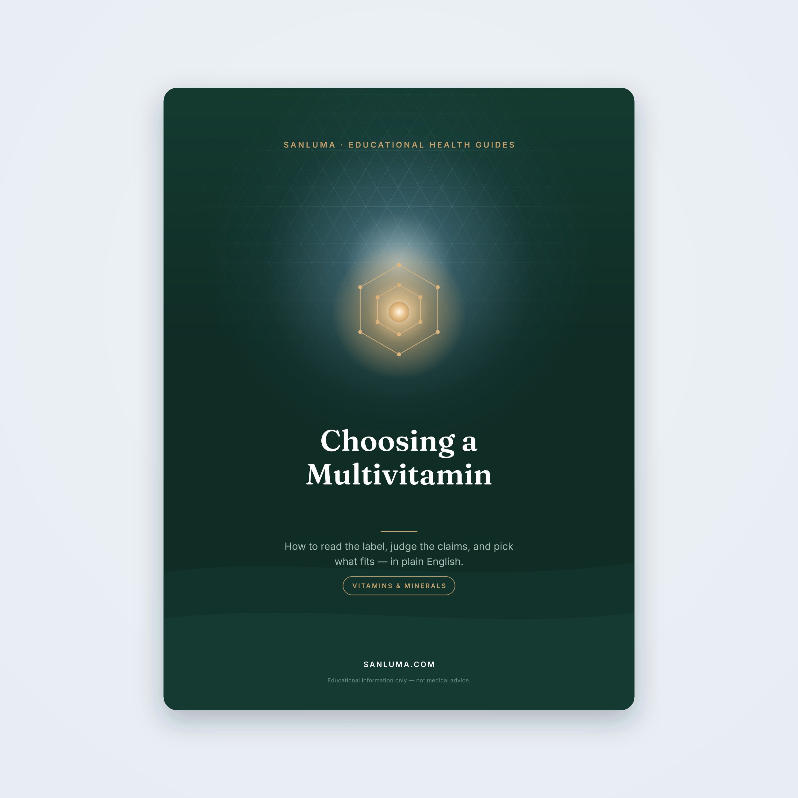 Choosing a Multivitamin — educational PDF guide by SanLuma