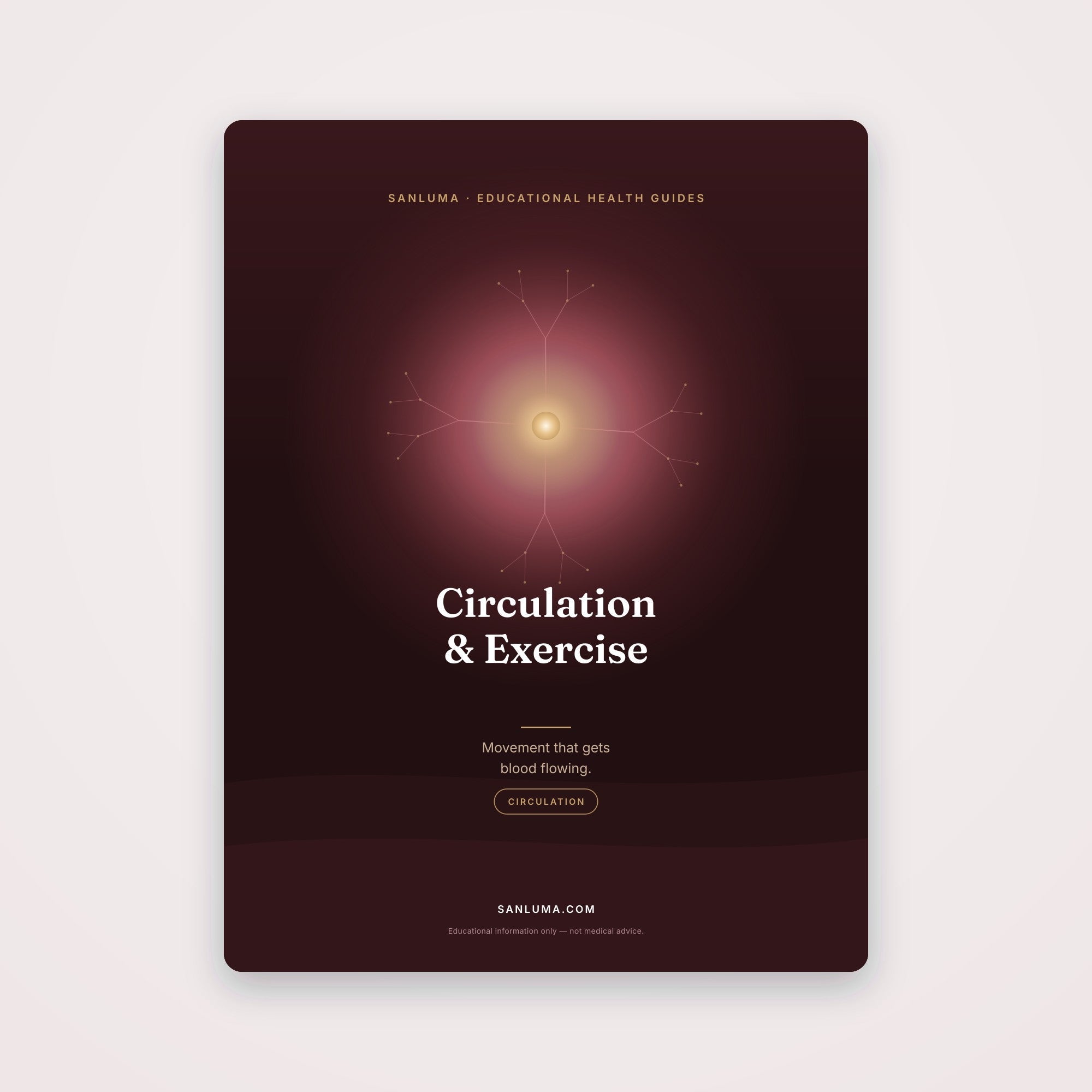 Circulation & Exercise | SanLuma health guide cover