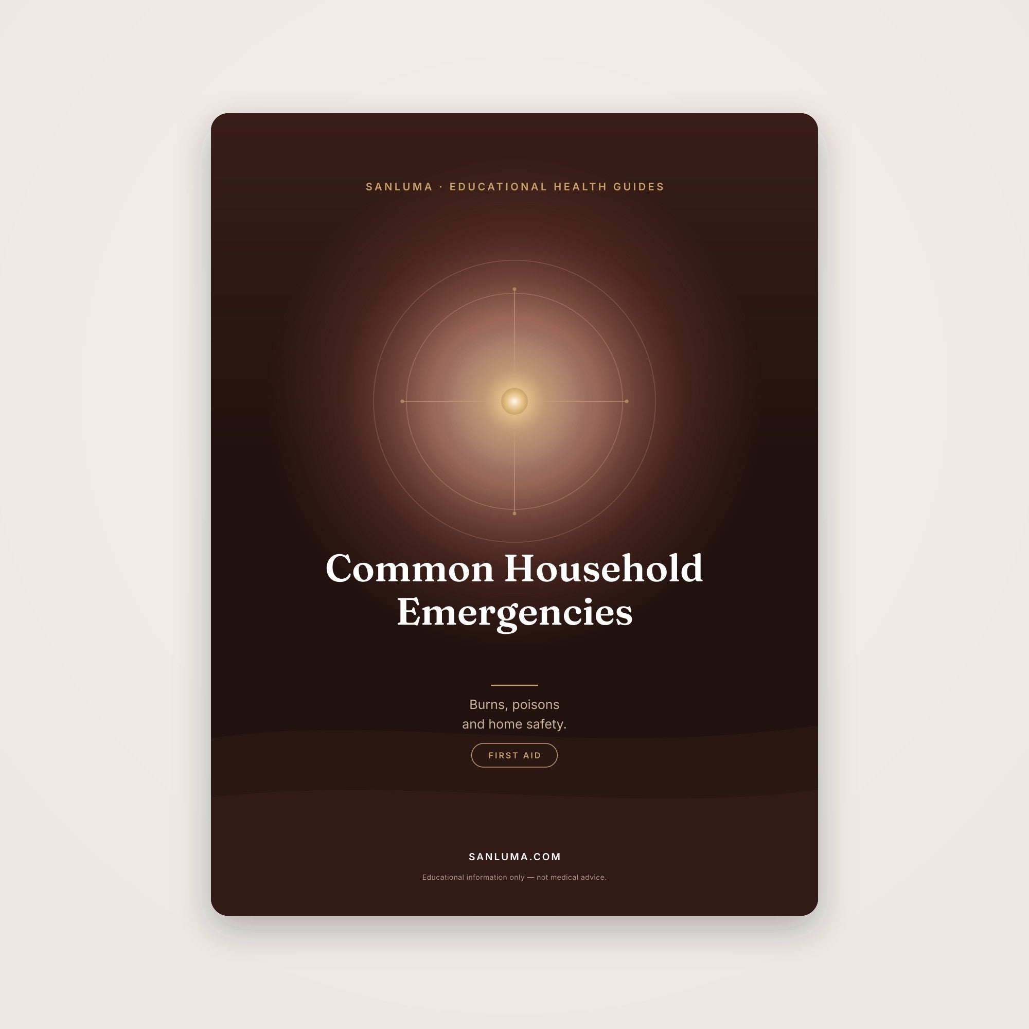 Common Household Emergencies | SanLuma health guide cover