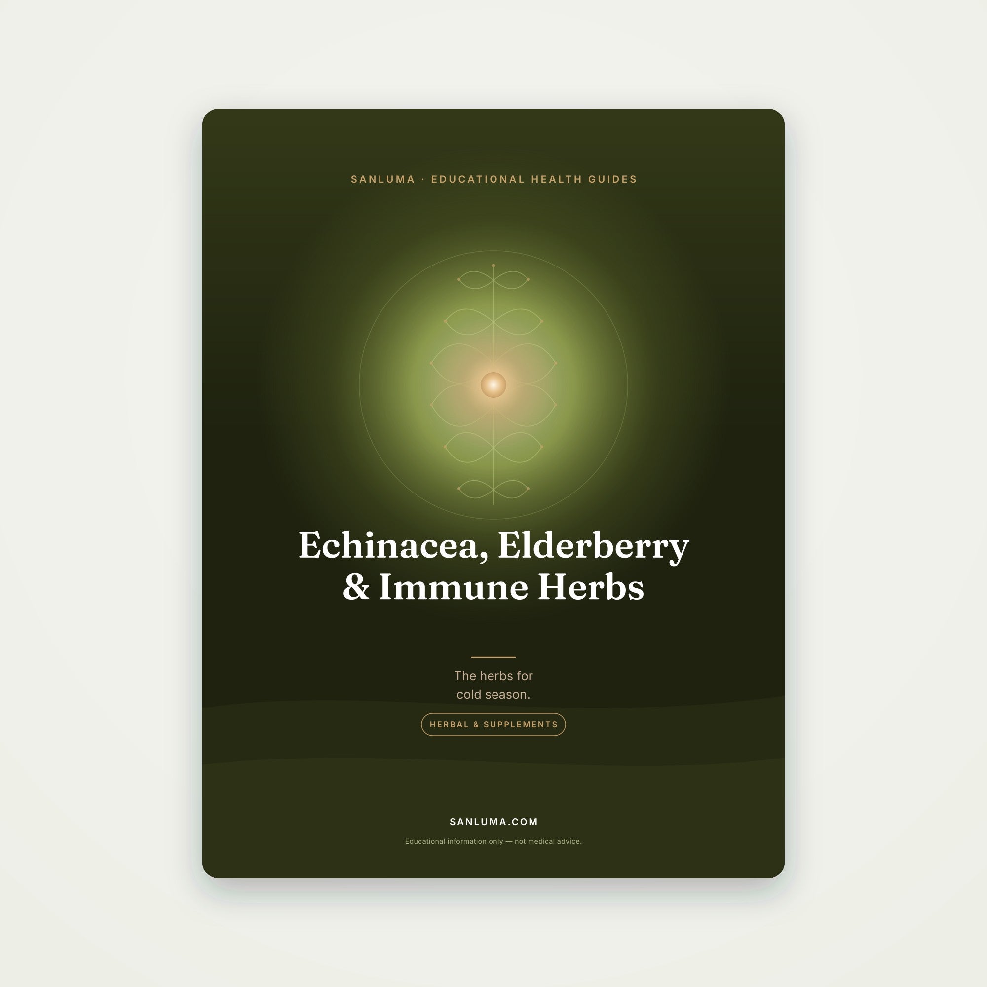 Echinacea, Elderberry & Immune Herbs | SanLuma health guide cover