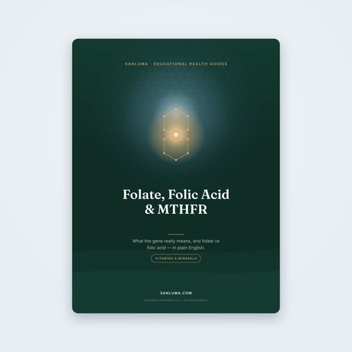 Folate, Folic Acid & MTHFR — educational PDF guide by SanLuma
