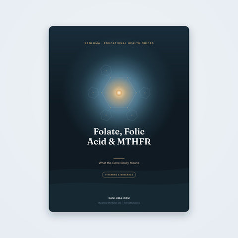 Folate, Folic Acid & MTHFR — What the Gene Really Means