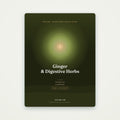 Ginger & Digestive Herbs | SanLuma health guide cover