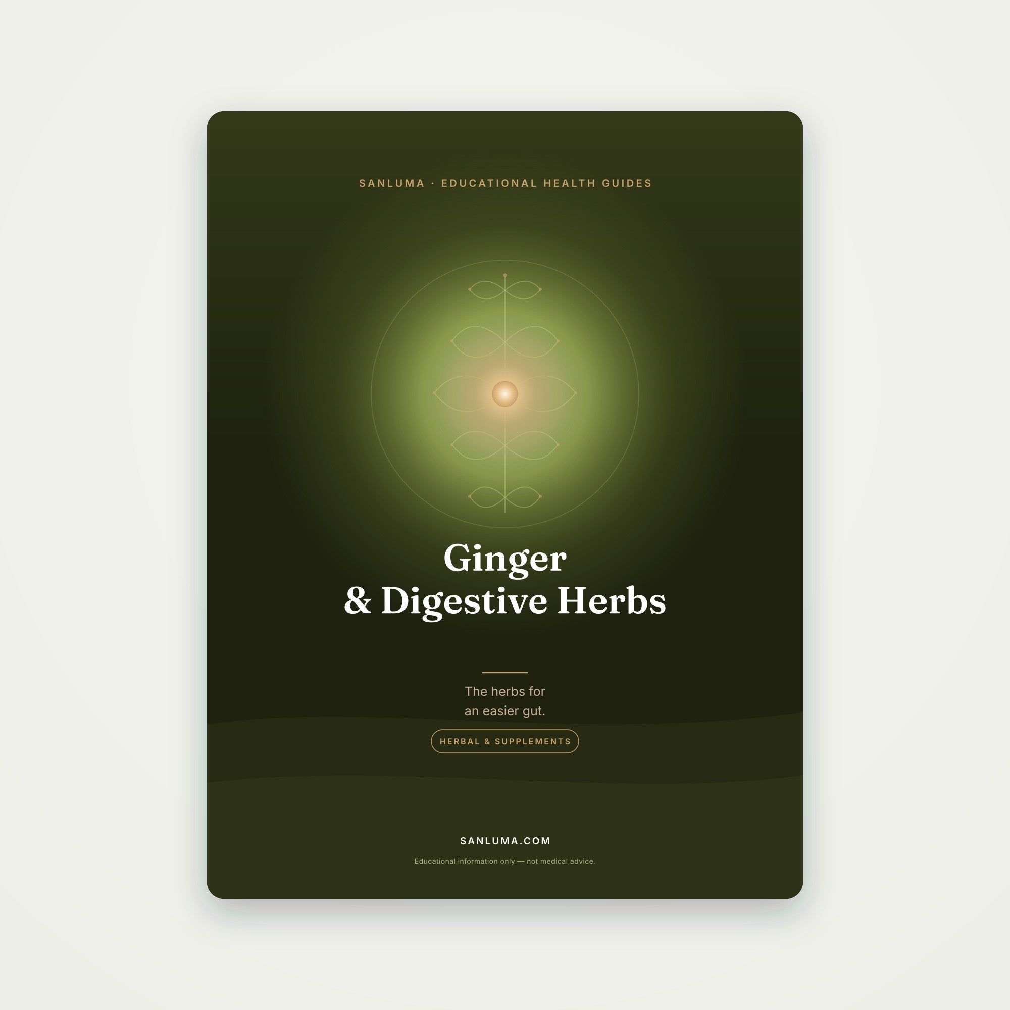 Ginger & Digestive Herbs | SanLuma health guide cover