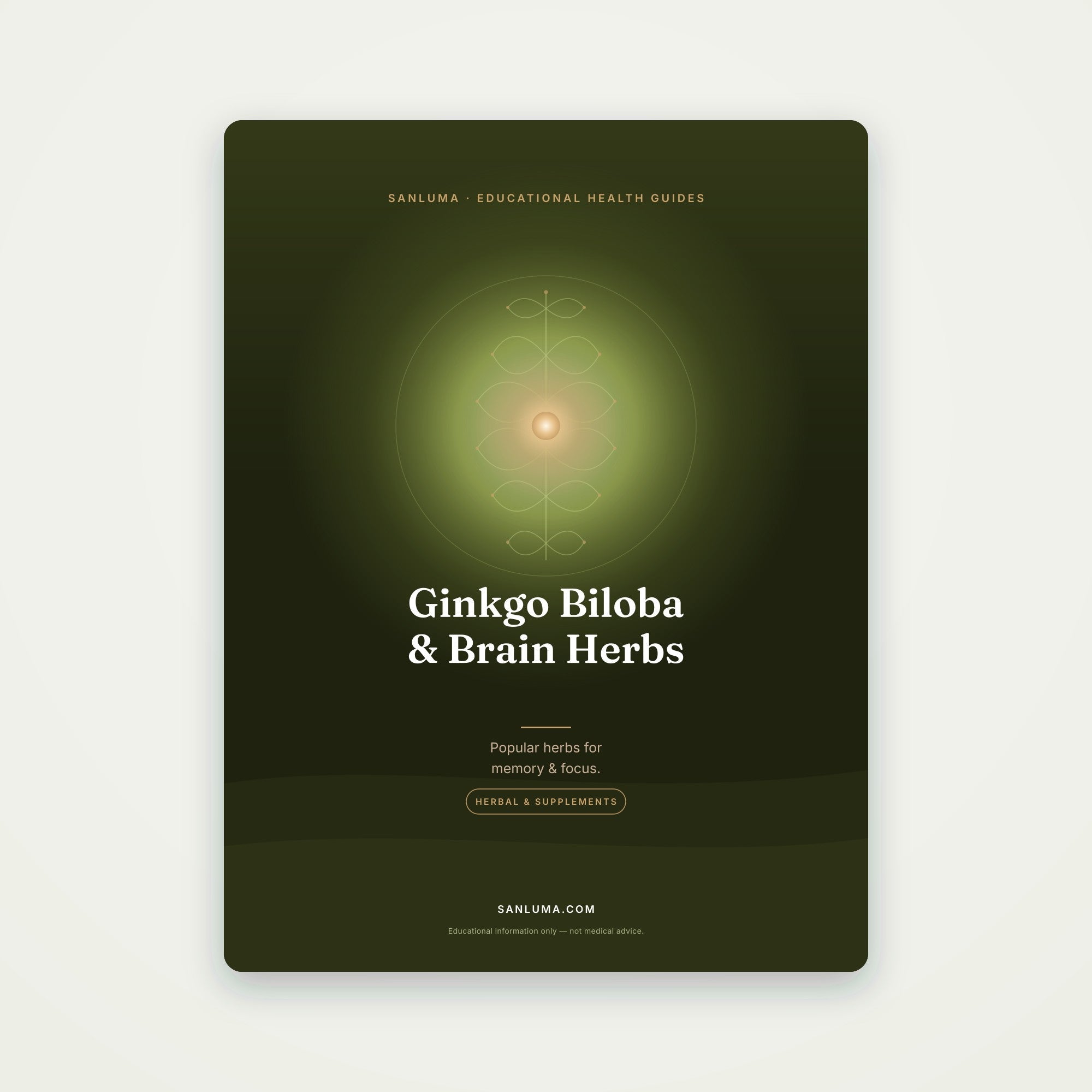Ginkgo Biloba & Brain Herbs | SanLuma health guide cover