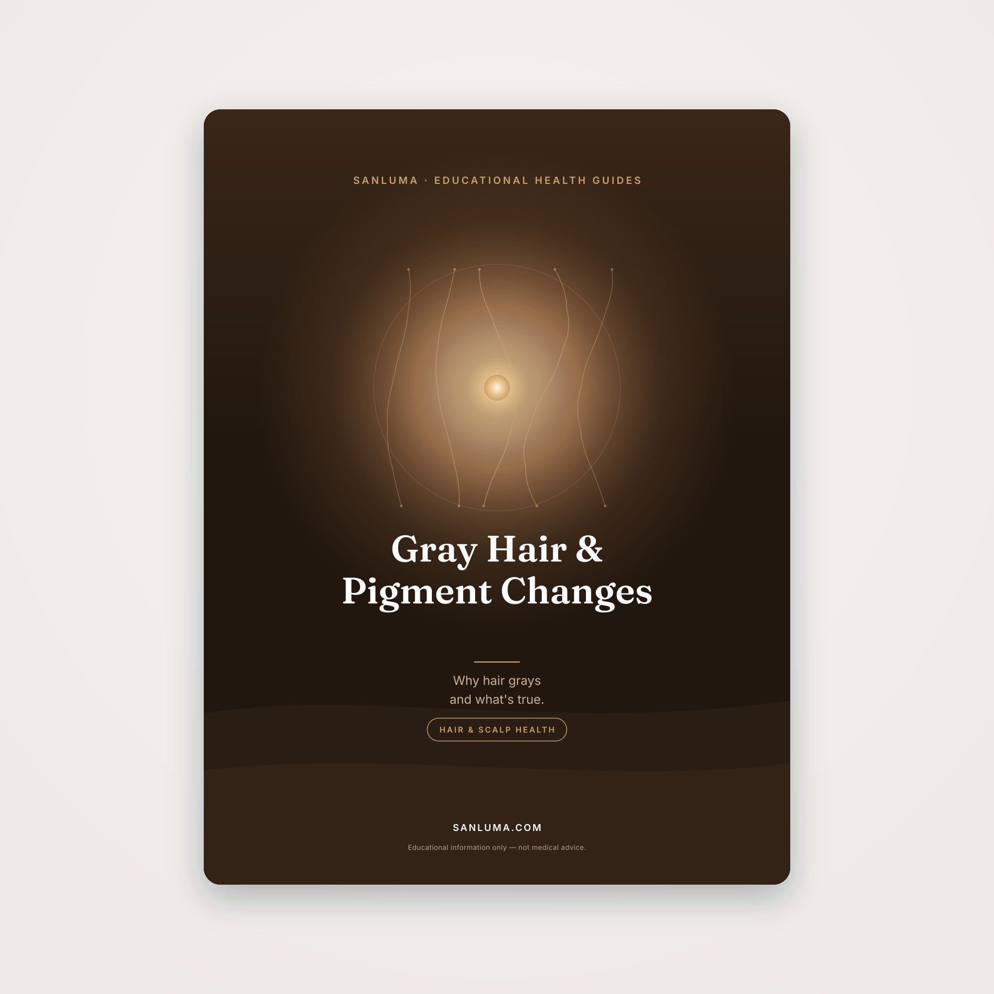 Gray Hair & Pigment Changes | SanLuma health guide cover