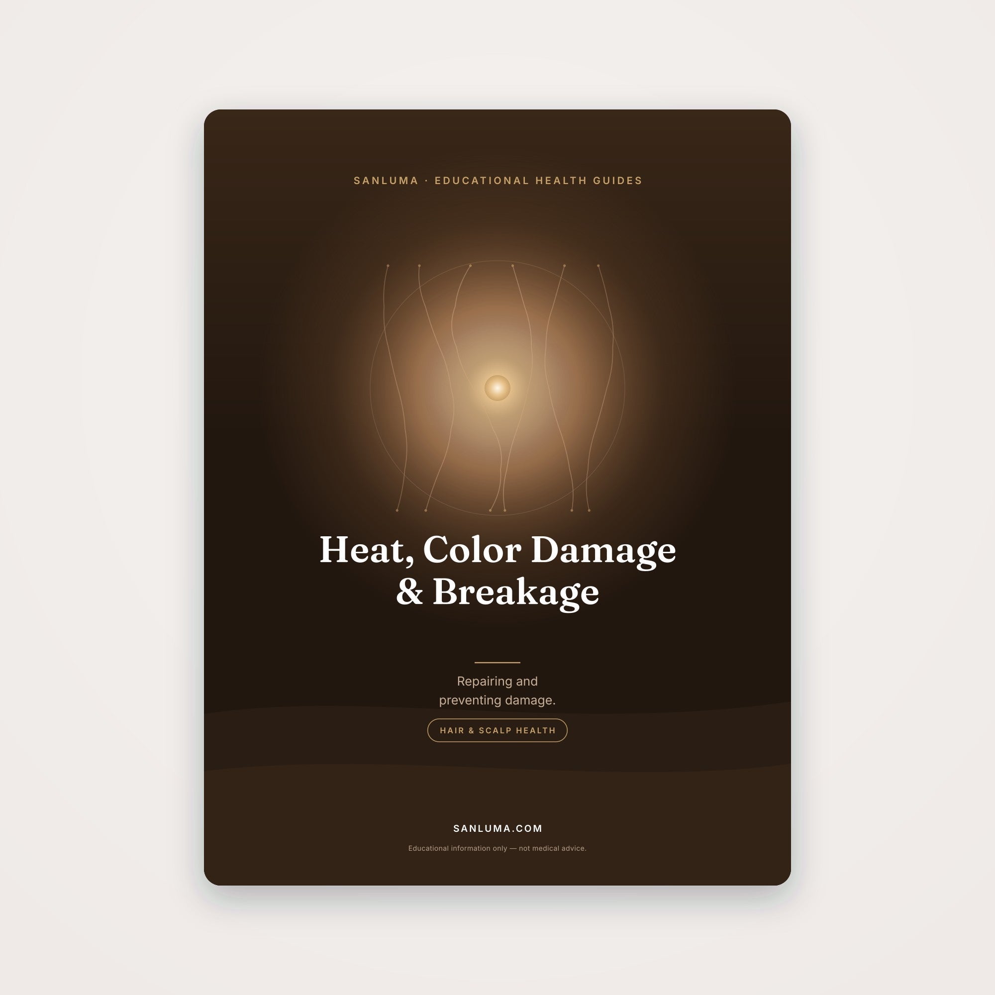 Heat, Color Damage & Hair Breakage | SanLuma health guide cover