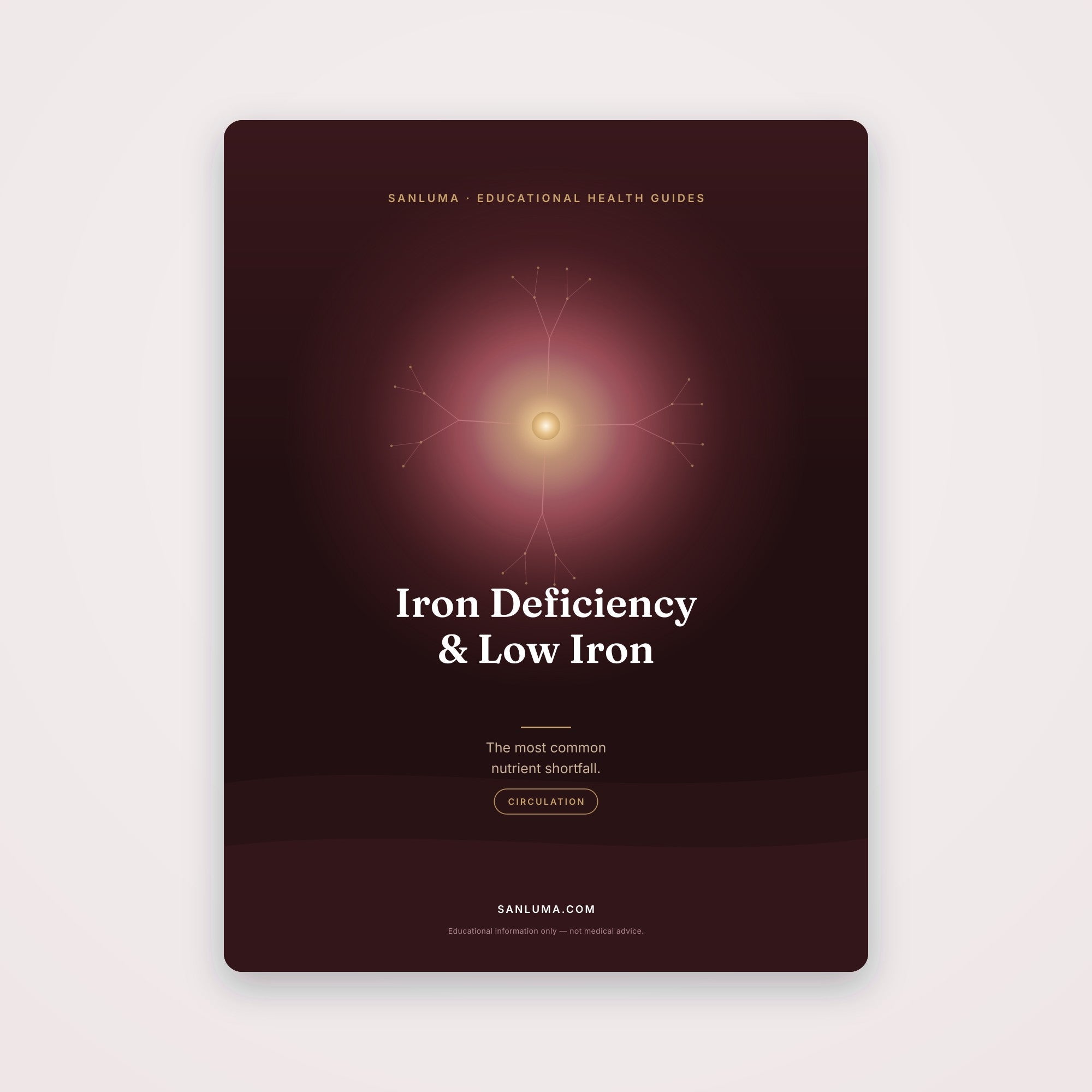 Iron Deficiency & Low Iron | SanLuma health guide cover