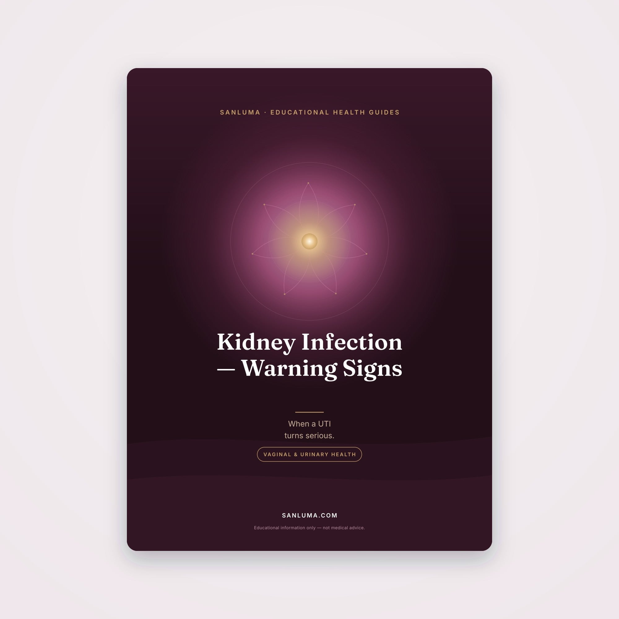 Kidney Infection (Pyelonephritis) — Warning Signs | SanLuma health guide cover