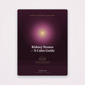 Kidney Stones — A Calm Guide | SanLuma health guide cover