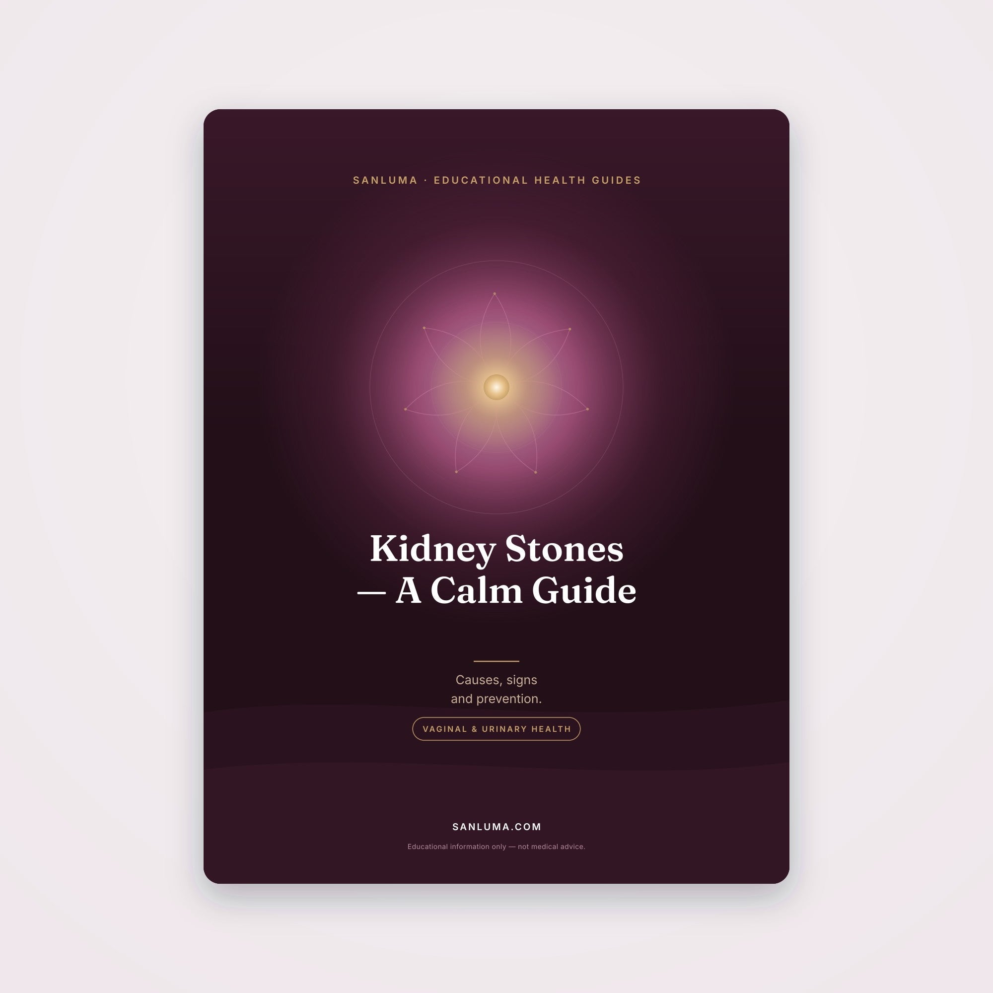 Kidney Stones — A Calm Guide | SanLuma health guide cover