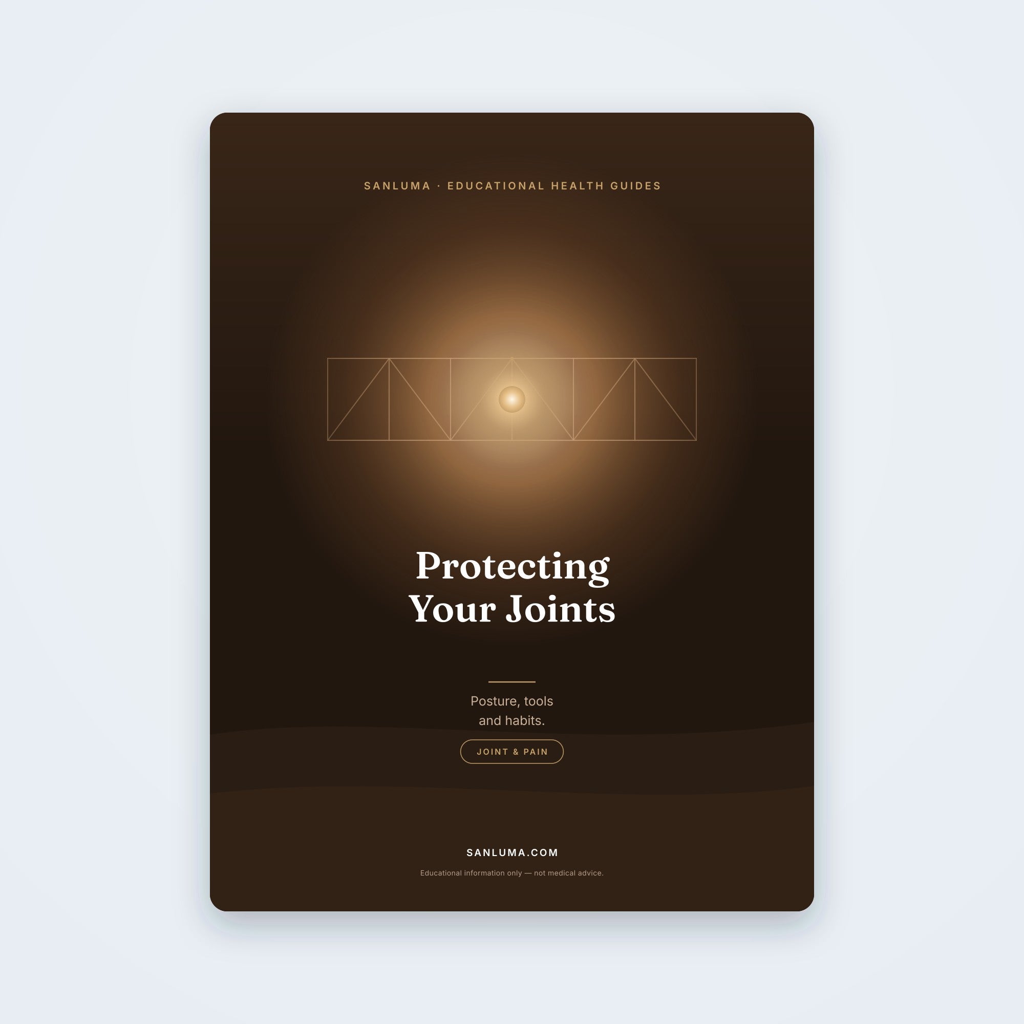 Protecting Your Joints — Posture, Tools & Habits | SanLuma health guide cover
