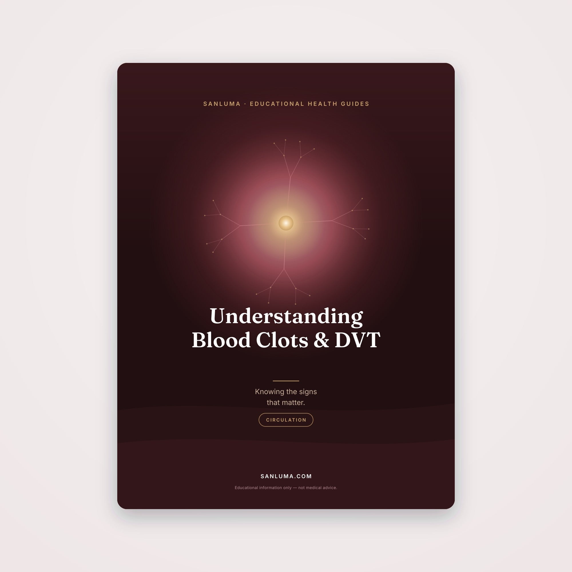 Understanding Blood Clots & DVT | SanLuma health guide cover