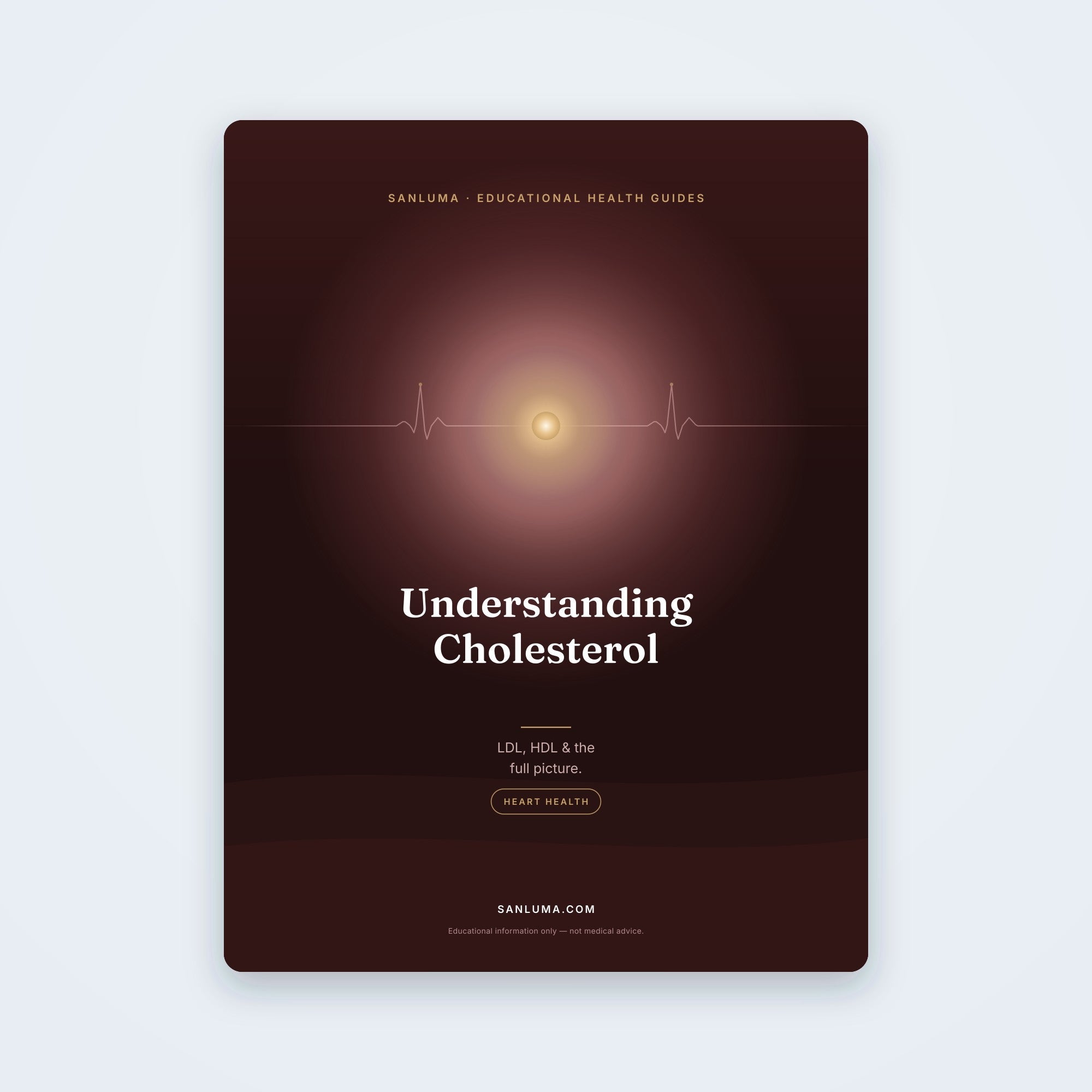 Understanding Cholesterol — LDL, HDL & the Full Picture | SanLuma health guide cover