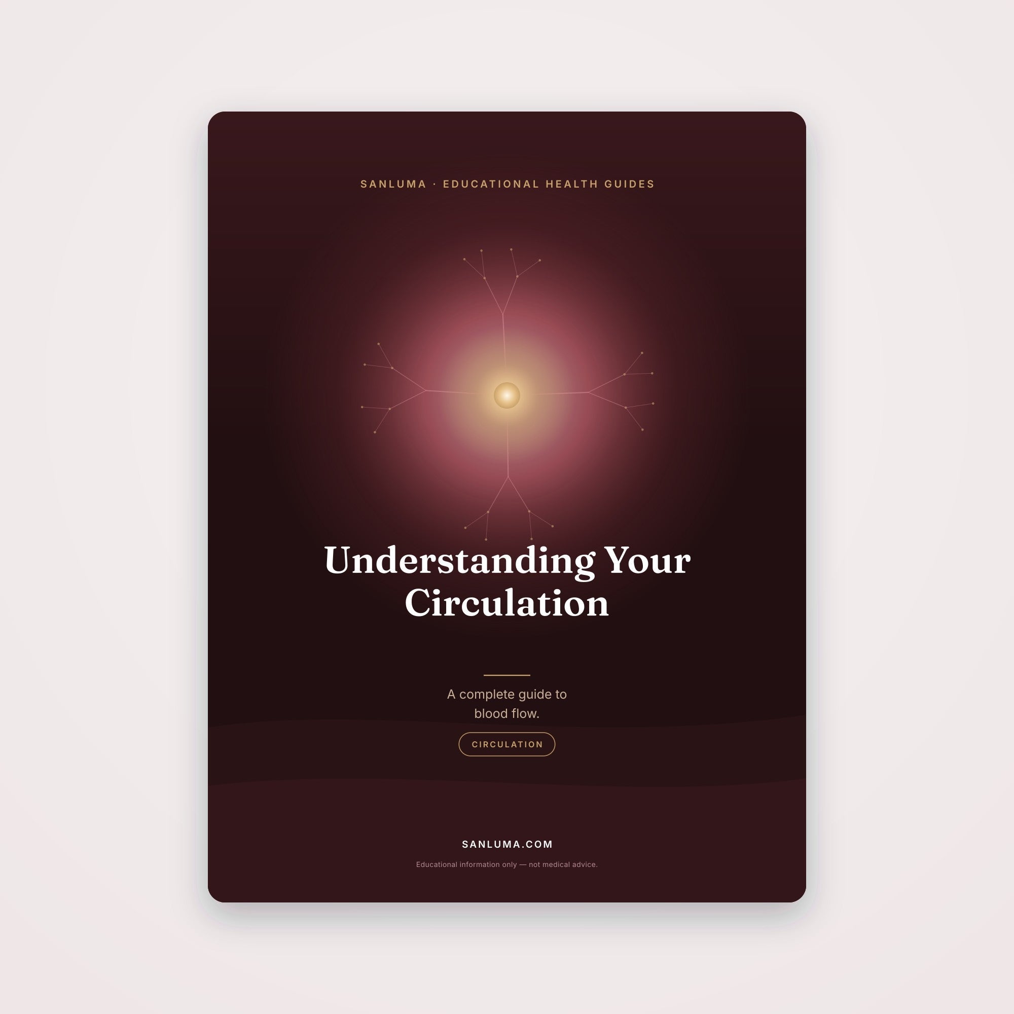 Understanding Your Circulation — A Complete Guide | SanLuma health guide cover