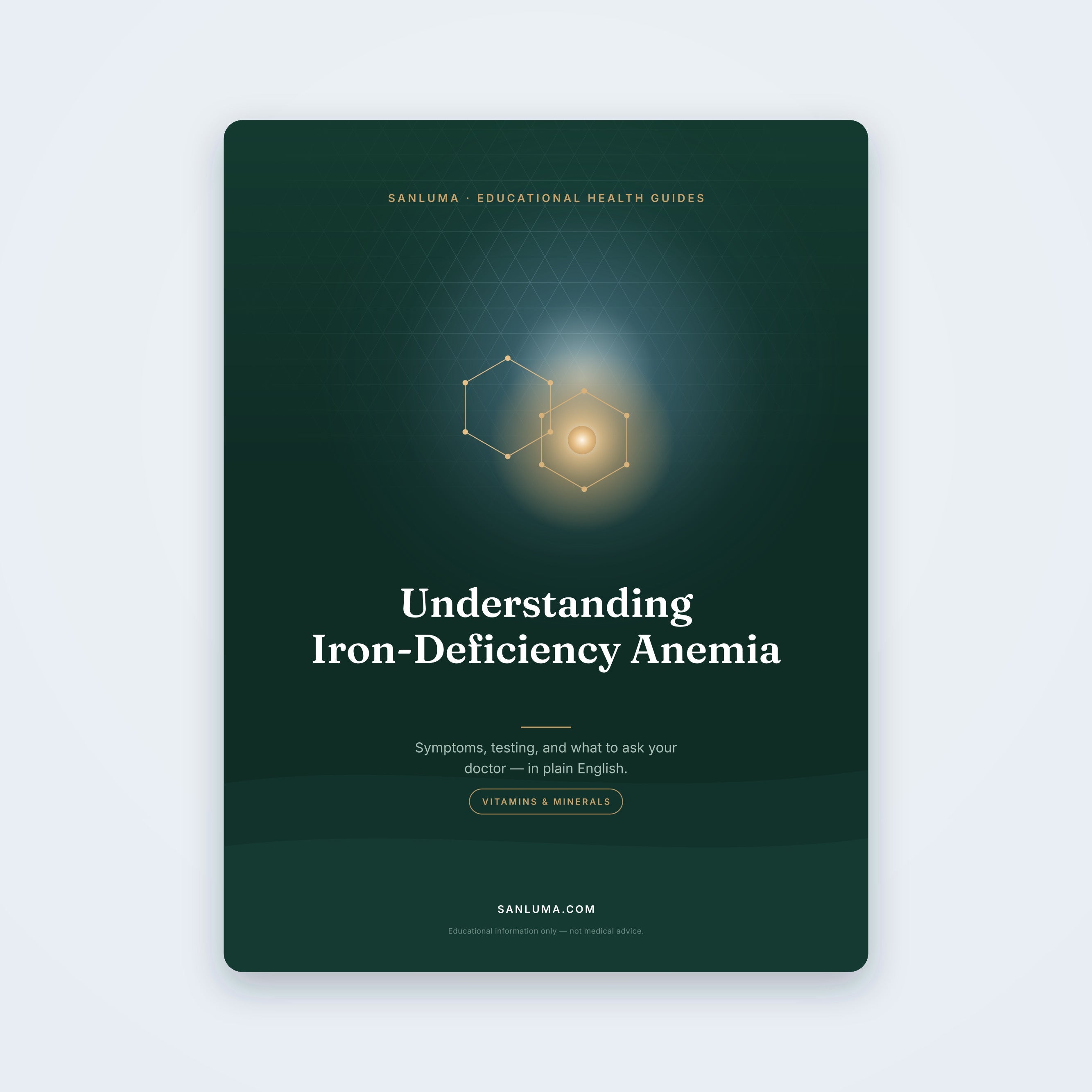 Understanding Iron Deficiency Anemia — educational PDF guide by SanLuma