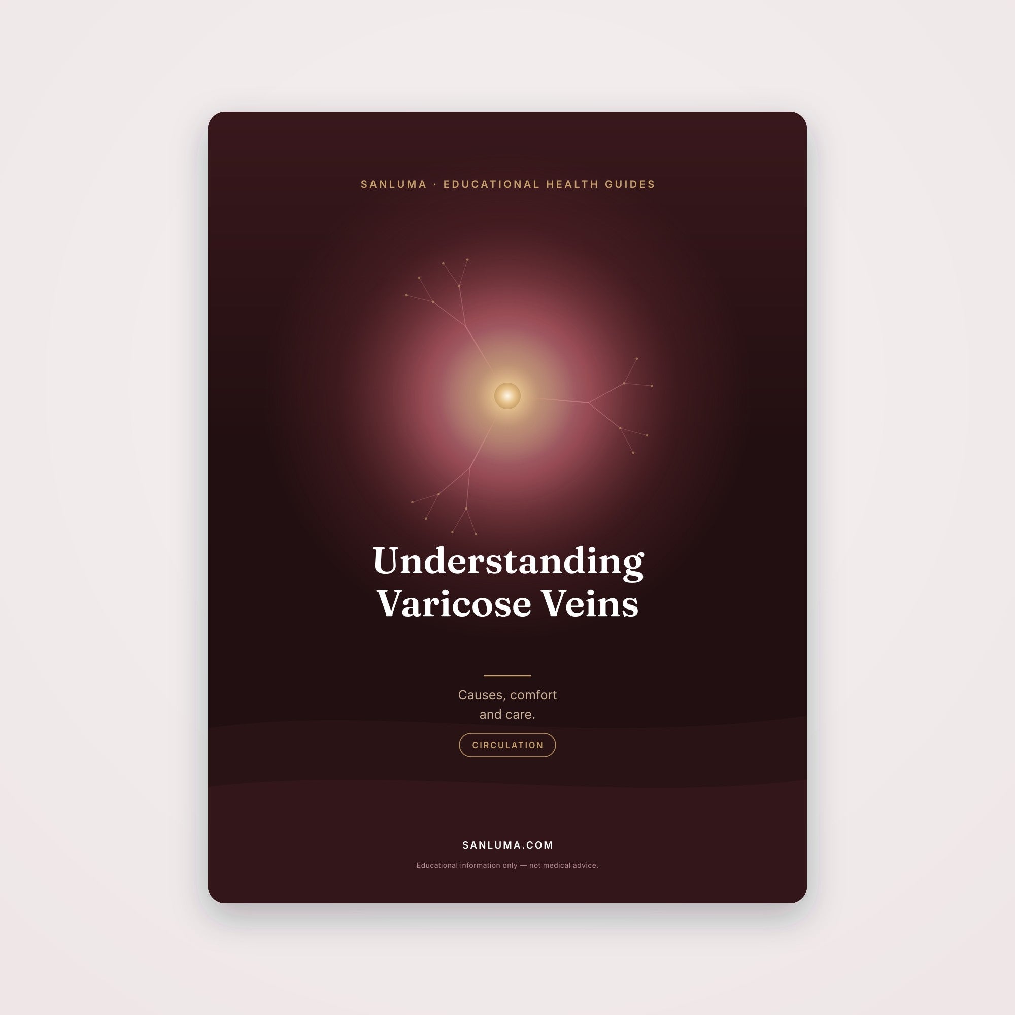 Understanding Varicose Veins | SanLuma health guide cover