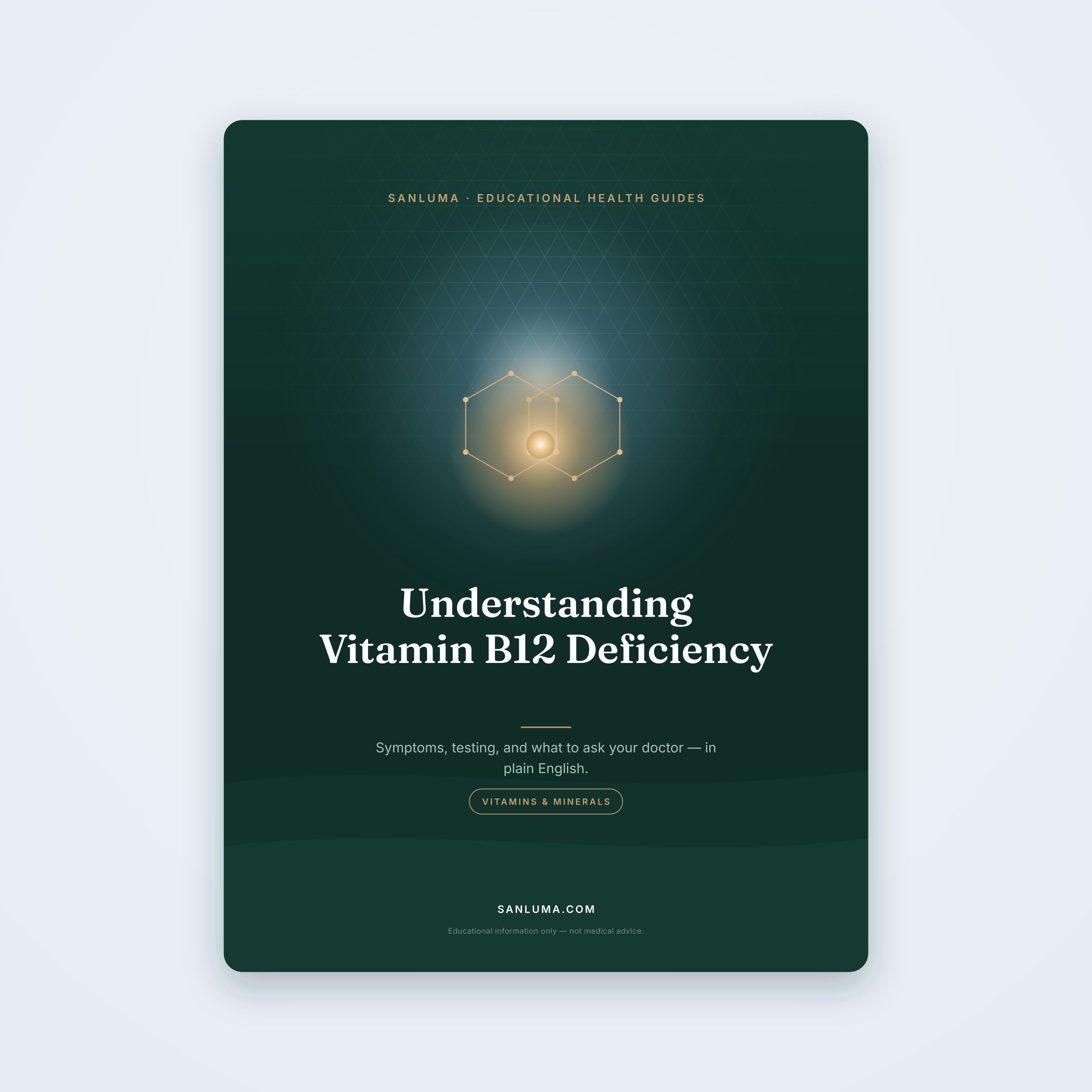 Understanding Vitamin B12 Deficiency — educational PDF guide by SanLuma