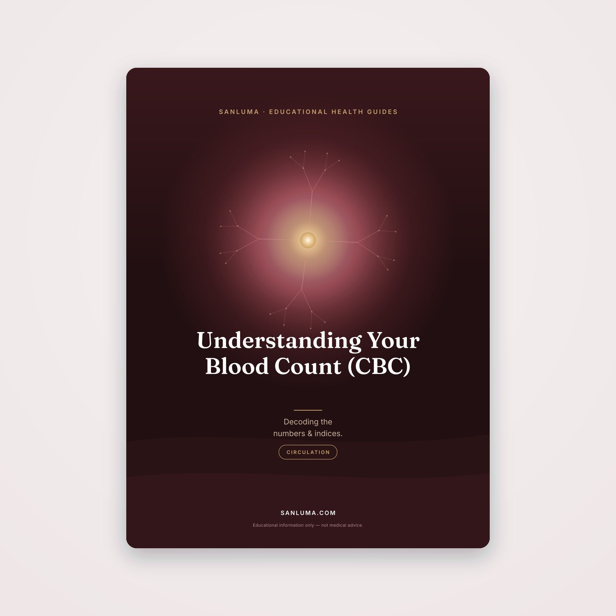 Understanding Your Blood Count (CBC) — Decoding the Numbers | SanLuma health guide cover