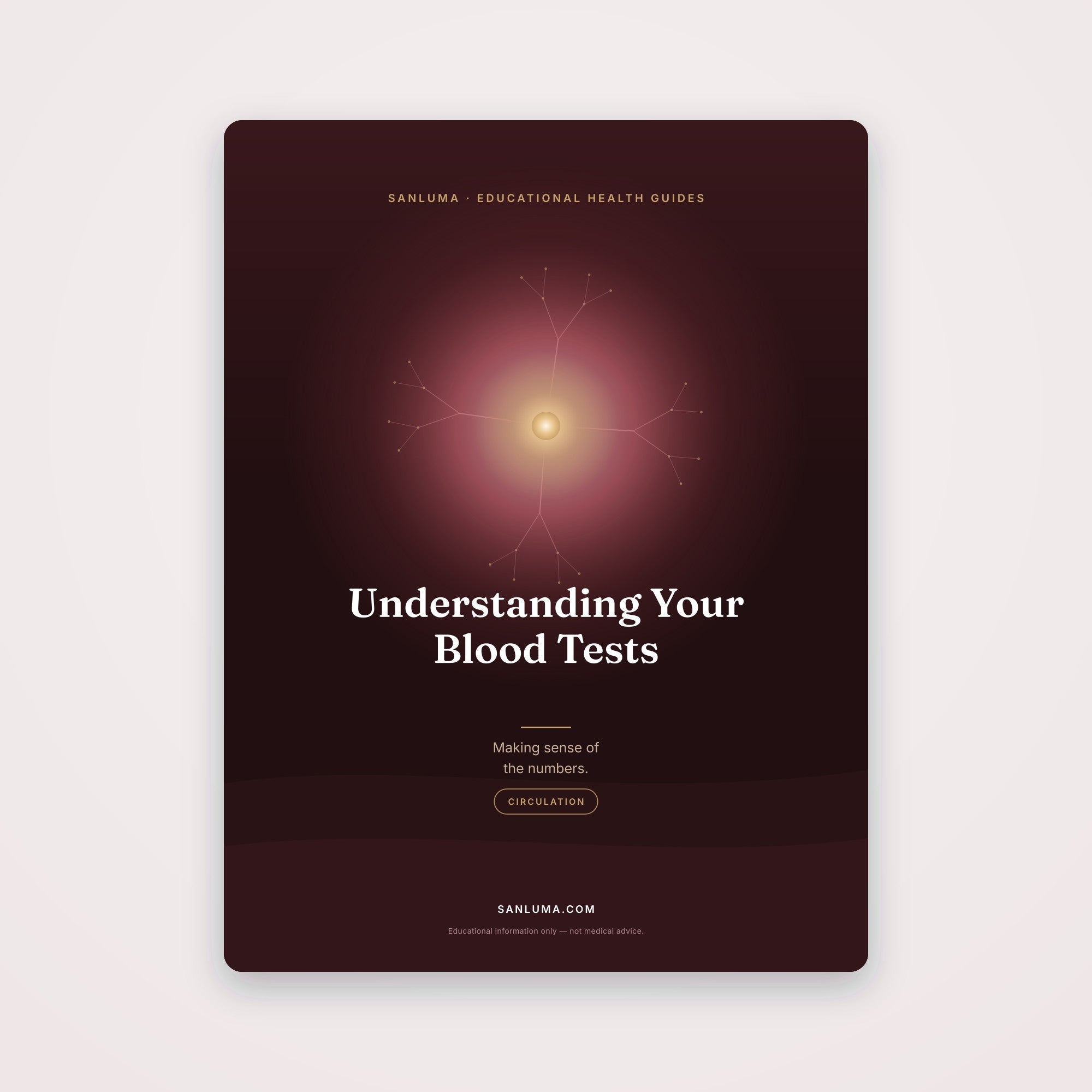 Understanding Your Blood Tests | SanLuma health guide cover