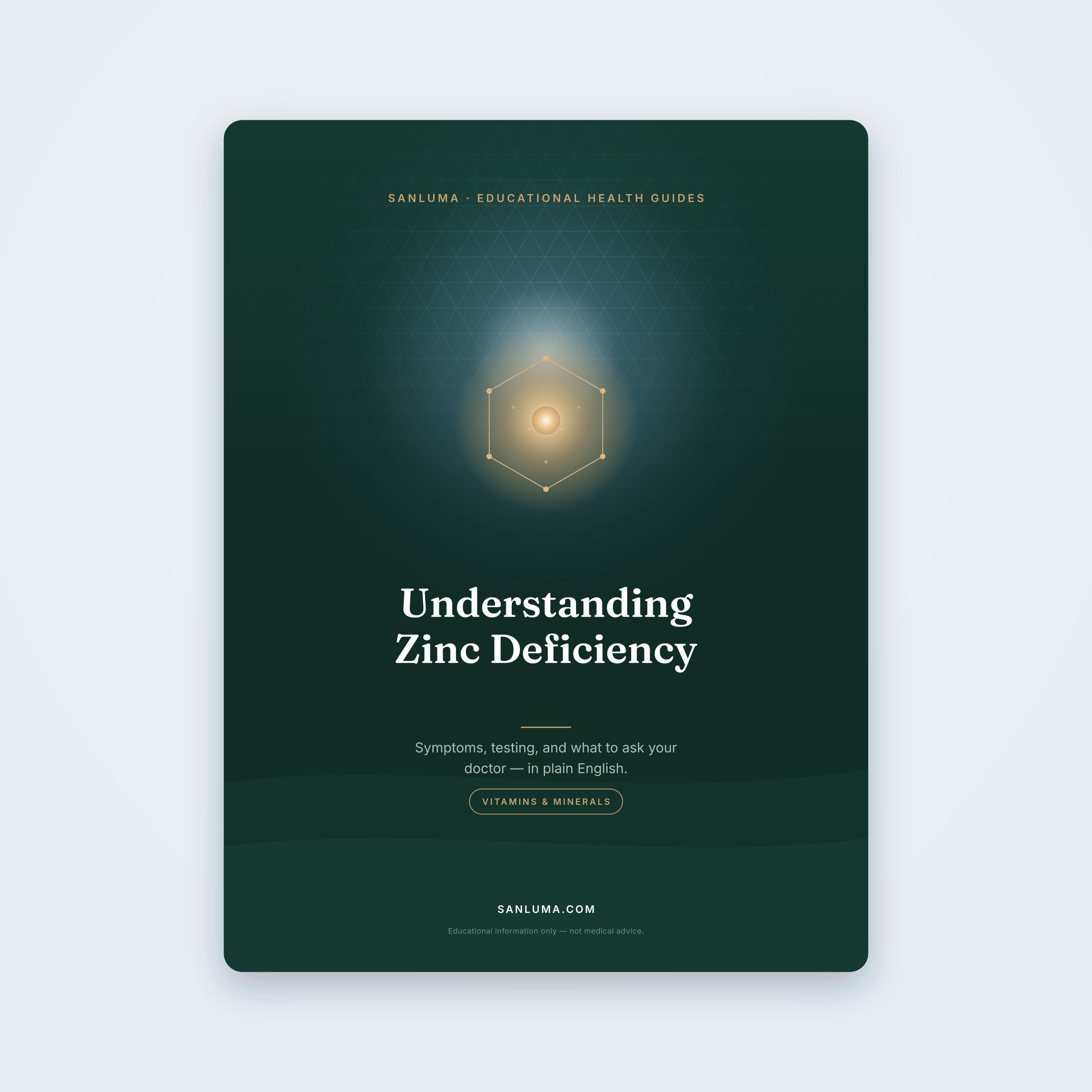 Understanding Zinc Deficiency — educational PDF guide by SanLuma