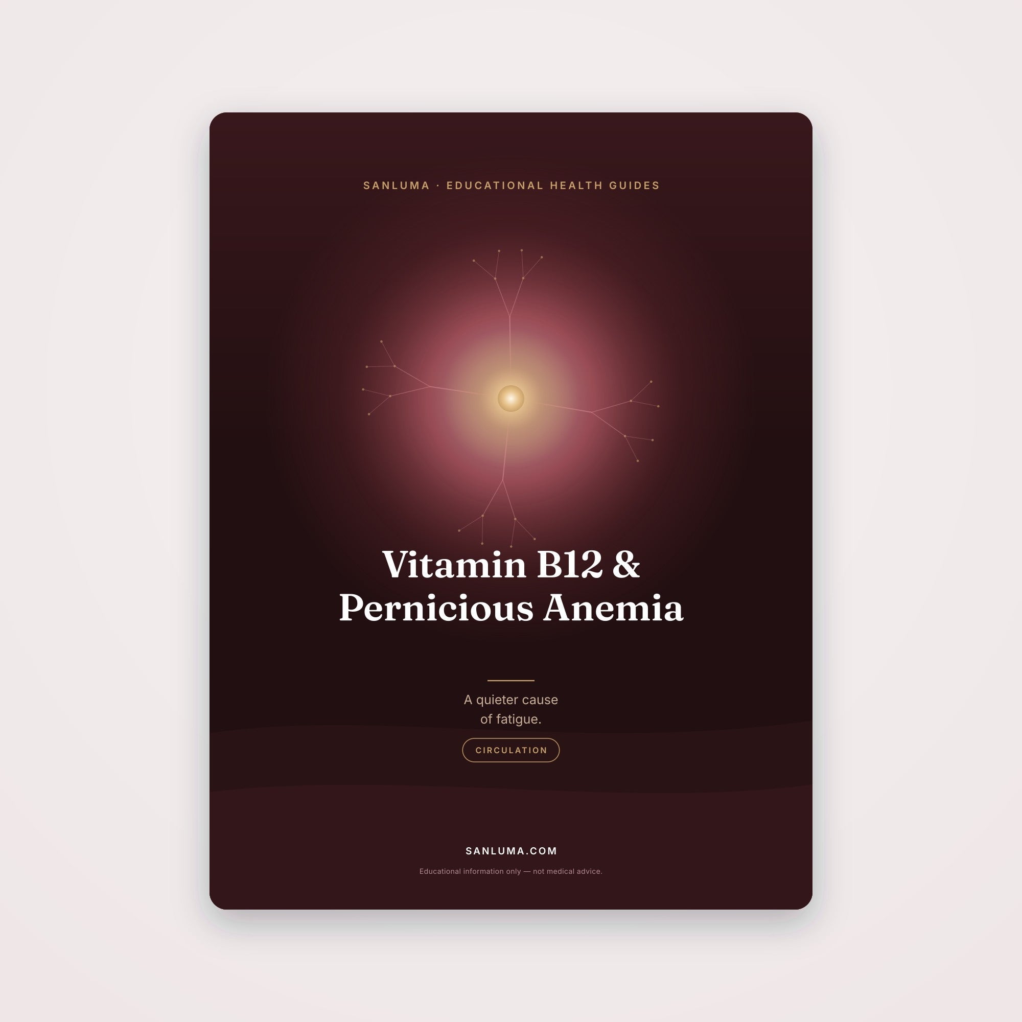 Vitamin B12 Deficiency & Pernicious Anemia | SanLuma health guide cover